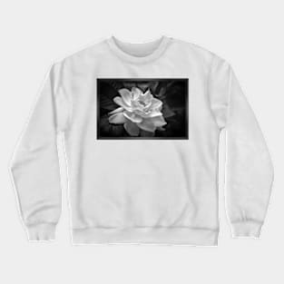 Gardenia in Black and White Crewneck Sweatshirt